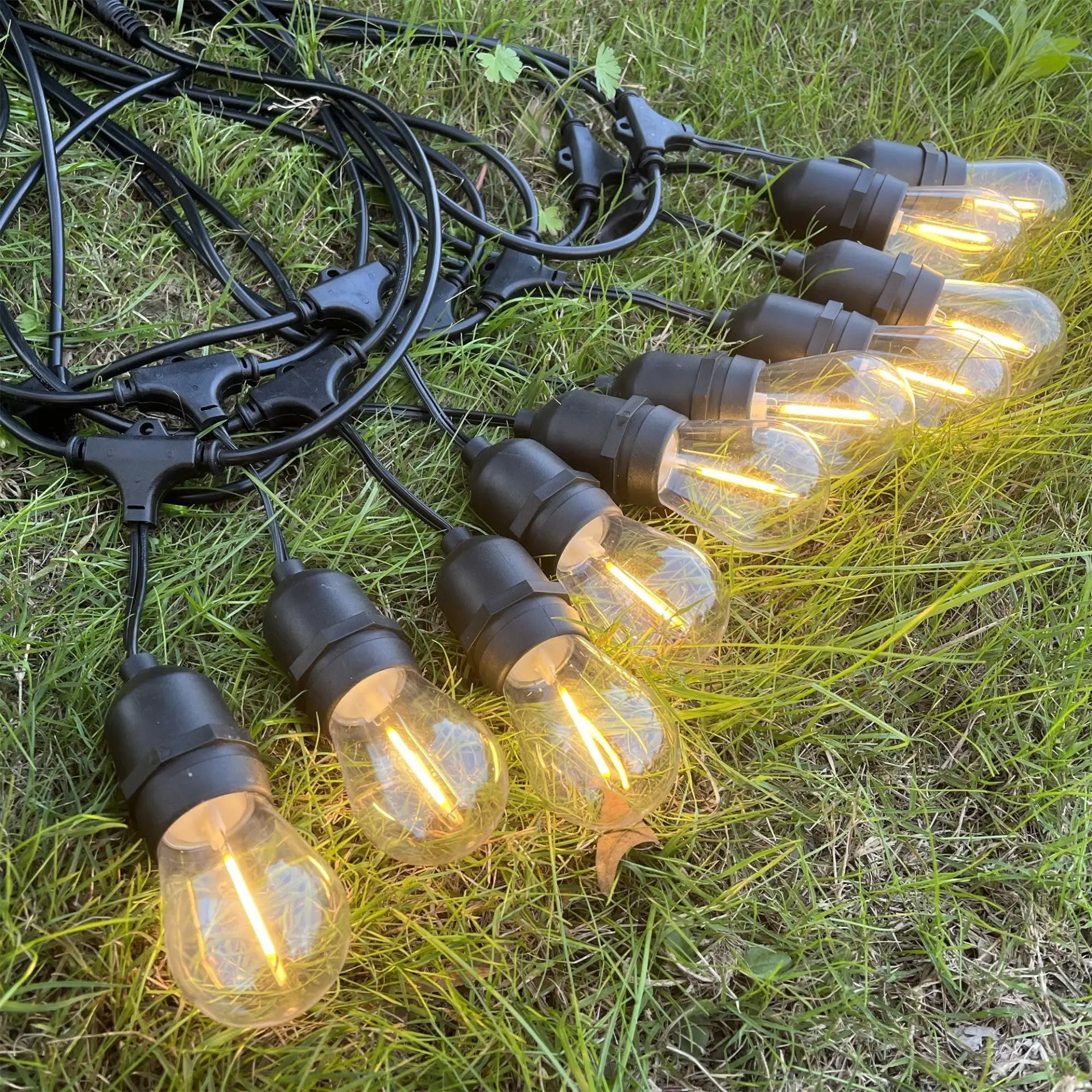 Guirlande LED 10 ampoules allumée sur l'herbe